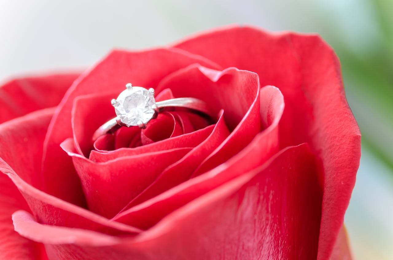 Close-up of a silver engagement ring set elegantly in a vibrant red rose.
